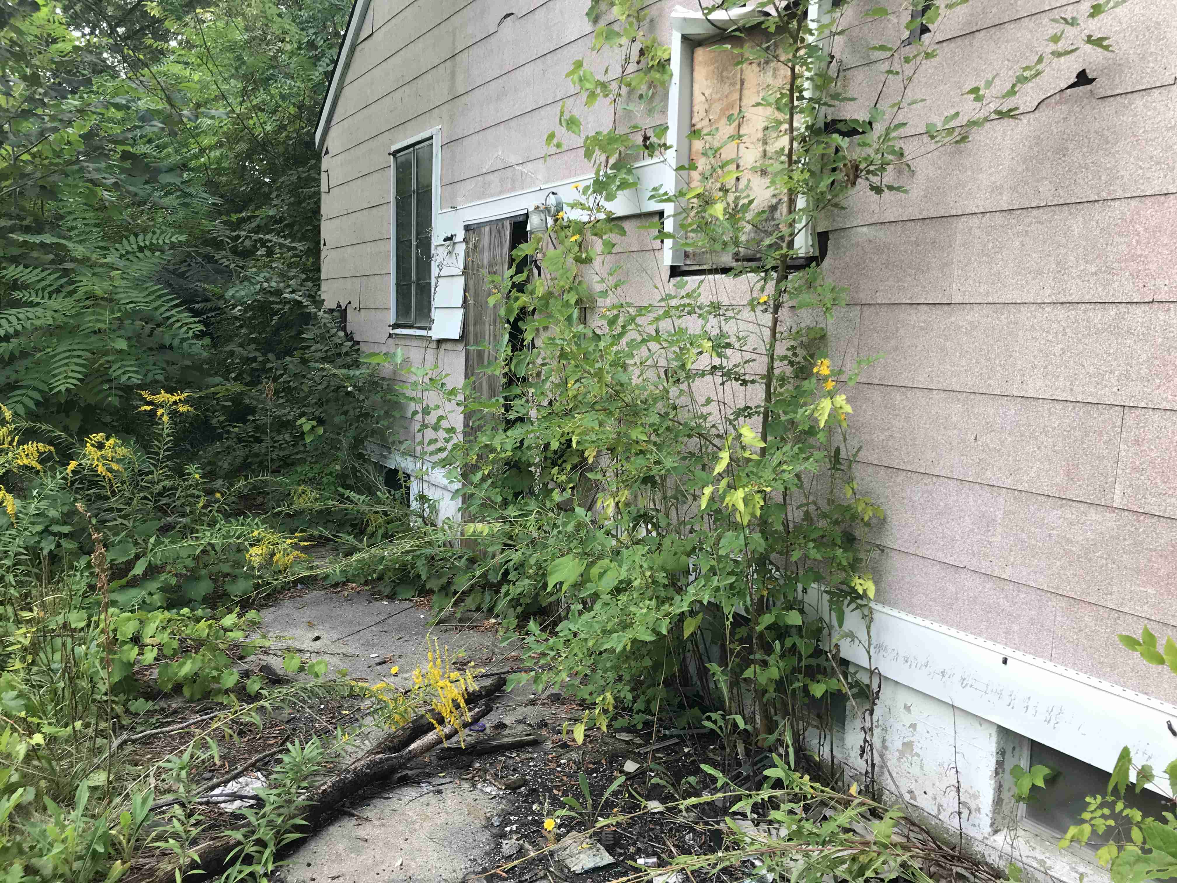 Photo Sep 09, 5 40 37 PM.jpg